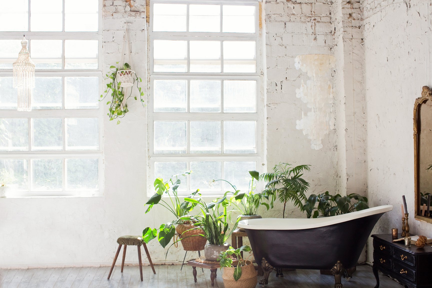 Bathroom interior with windows and plants